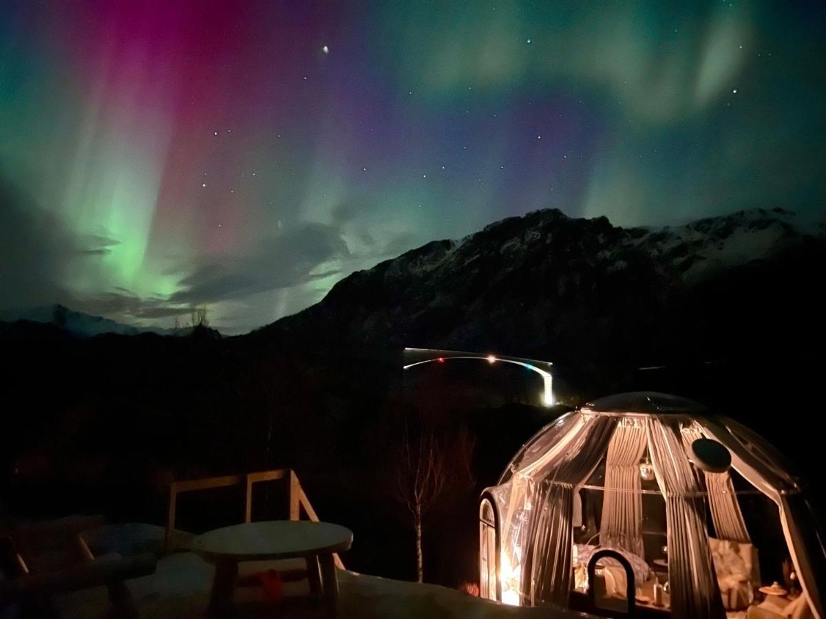 Lofoten Glampingdome Myrland Zewnętrze zdjęcie