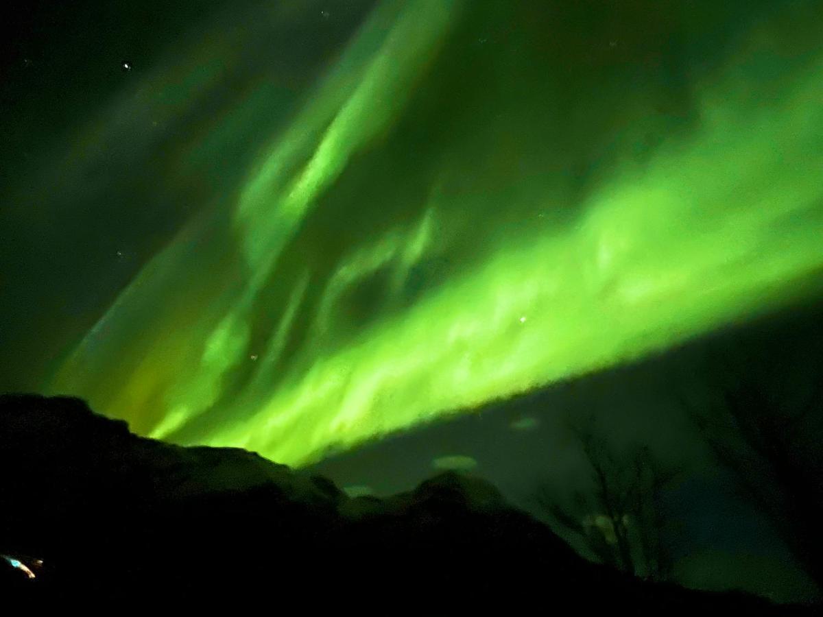 Lofoten Glampingdome Myrland Zewnętrze zdjęcie