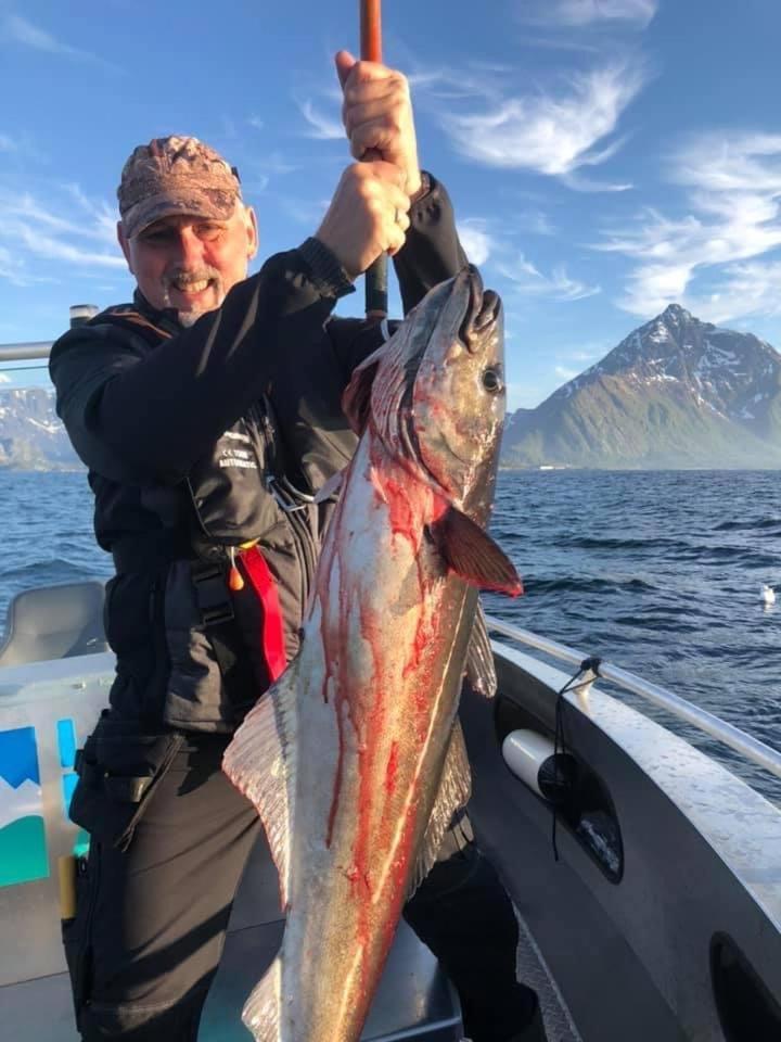 Lofoten Glampingdome Myrland Zewnętrze zdjęcie
