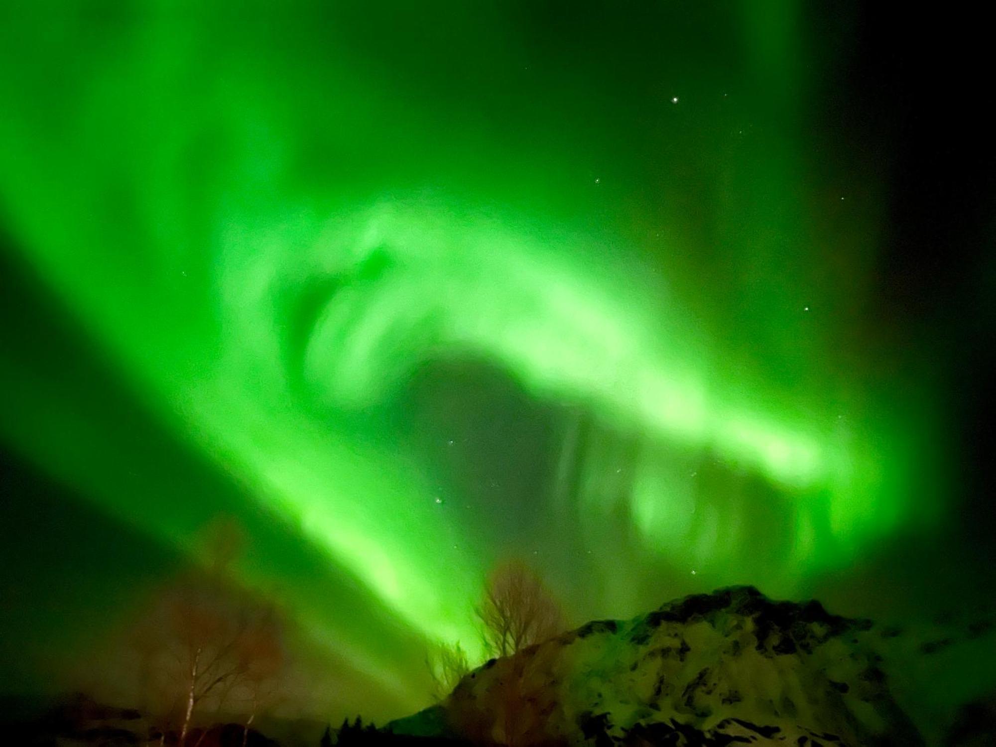 Lofoten Glampingdome Myrland Zewnętrze zdjęcie