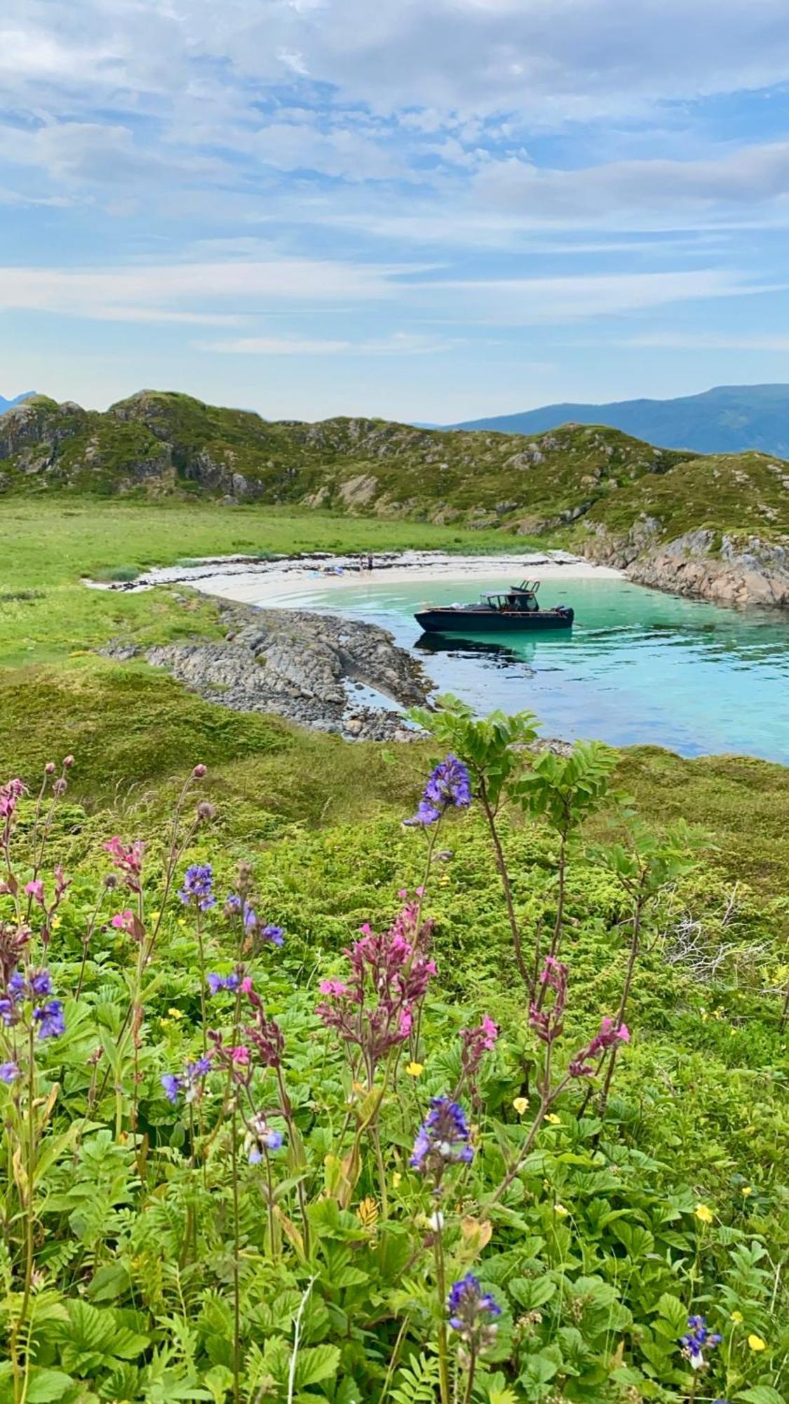 Lofoten Glampingdome Myrland Zewnętrze zdjęcie